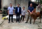 MTTQ huyện Nông Cống trao bò cho hộ có hoàn cảnh đặc biệt khó khăn xã Thăng Bình